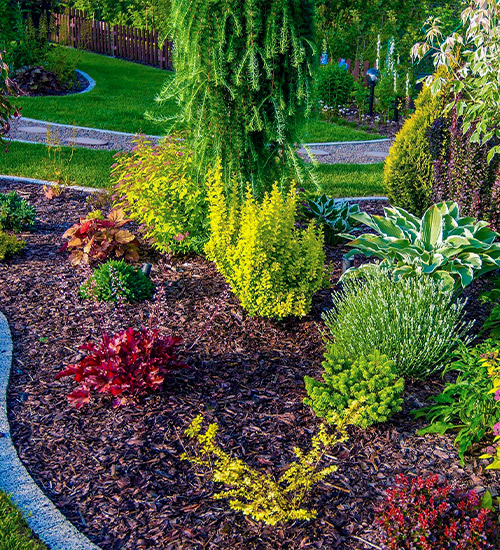 Cheap-Phoenix-Flower-Bed-Maintenance