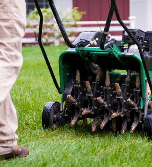 Cheap-Phoenix-Lawn-Aeration