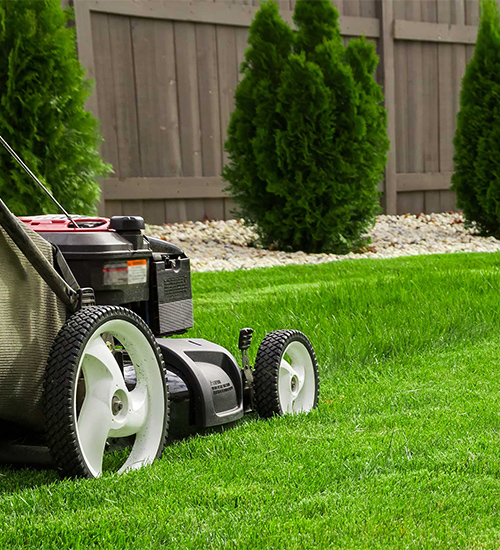 Phoenix-Lawn-Mowing-Today